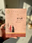 司汤达《红与黑》读后感