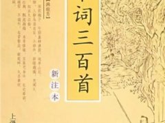 《宋词三百首》读后感