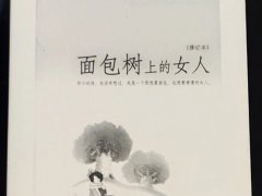 张小娴《面包树上的女人》读后感精选分享