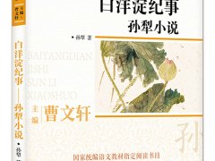 孙犁《白洋淀纪事》读后感精选分享