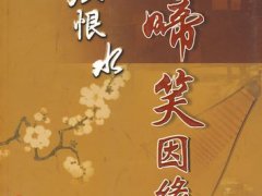 张恨水《啼笑因缘》读后感原创精选