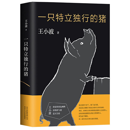 王小波《一只特立独行的猪》读后感