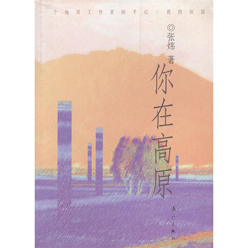 张炜《你在高原》读后感