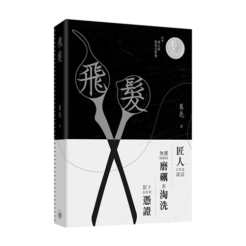 葛亮《飞发》读后感