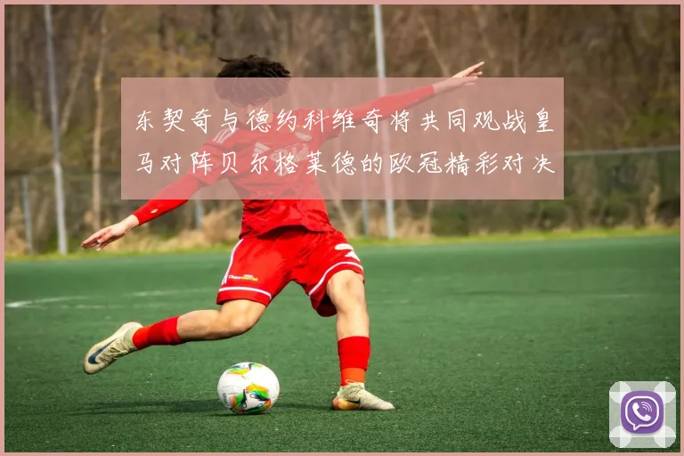 东契奇与德约科维奇将共同观战皇马对阵贝尔格莱德的欧冠精彩对决
